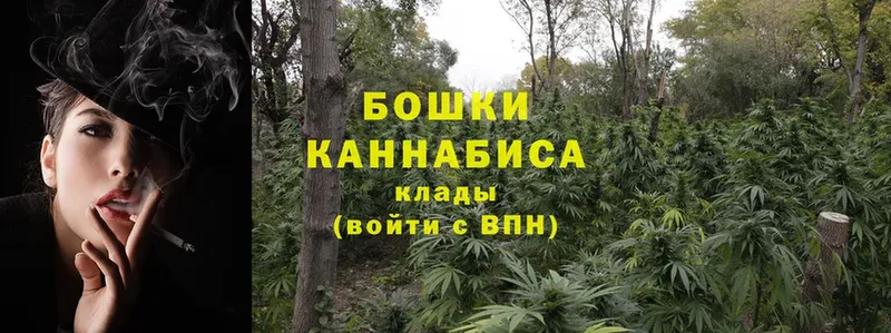 цены наркотик  Отрадный  Конопля OG Kush 